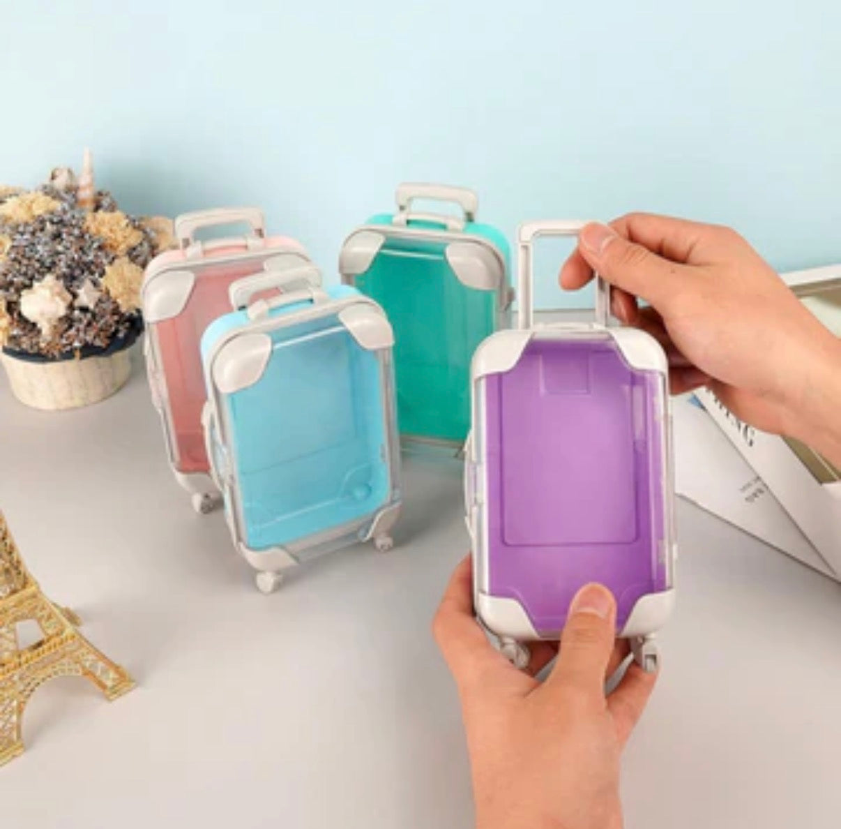 Mini Luggage Organiser