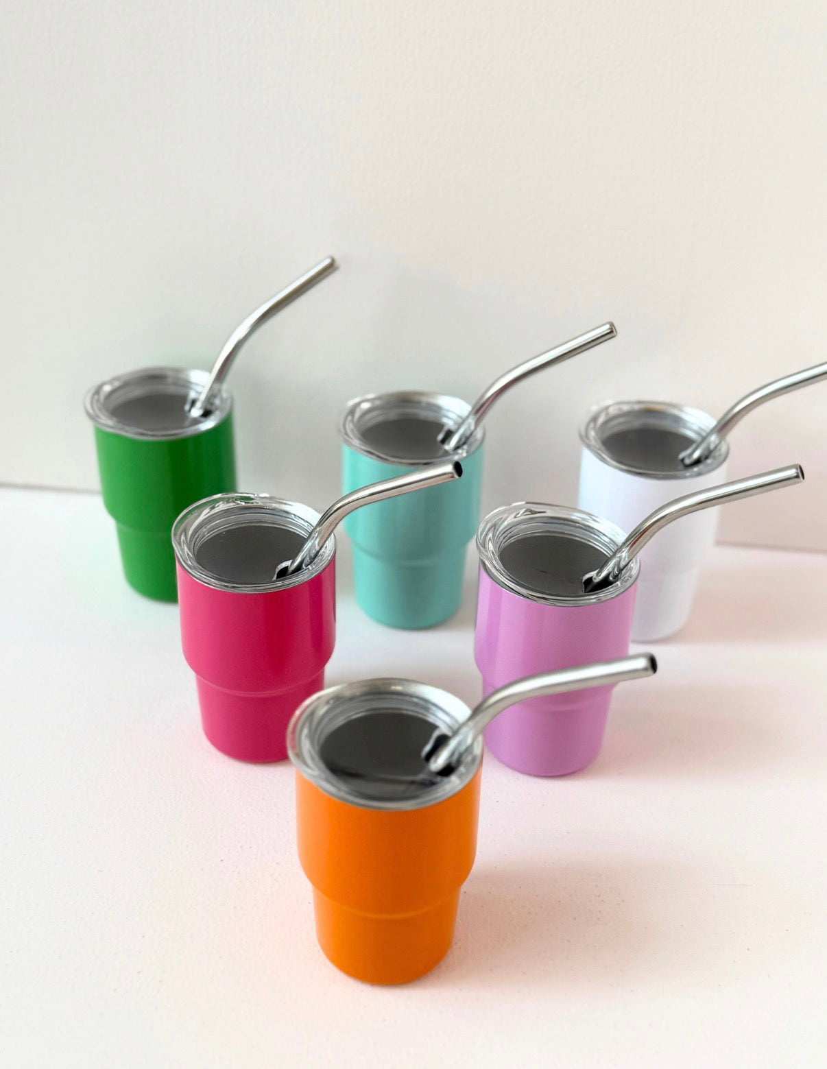Mini Stainless Steel Tumbler