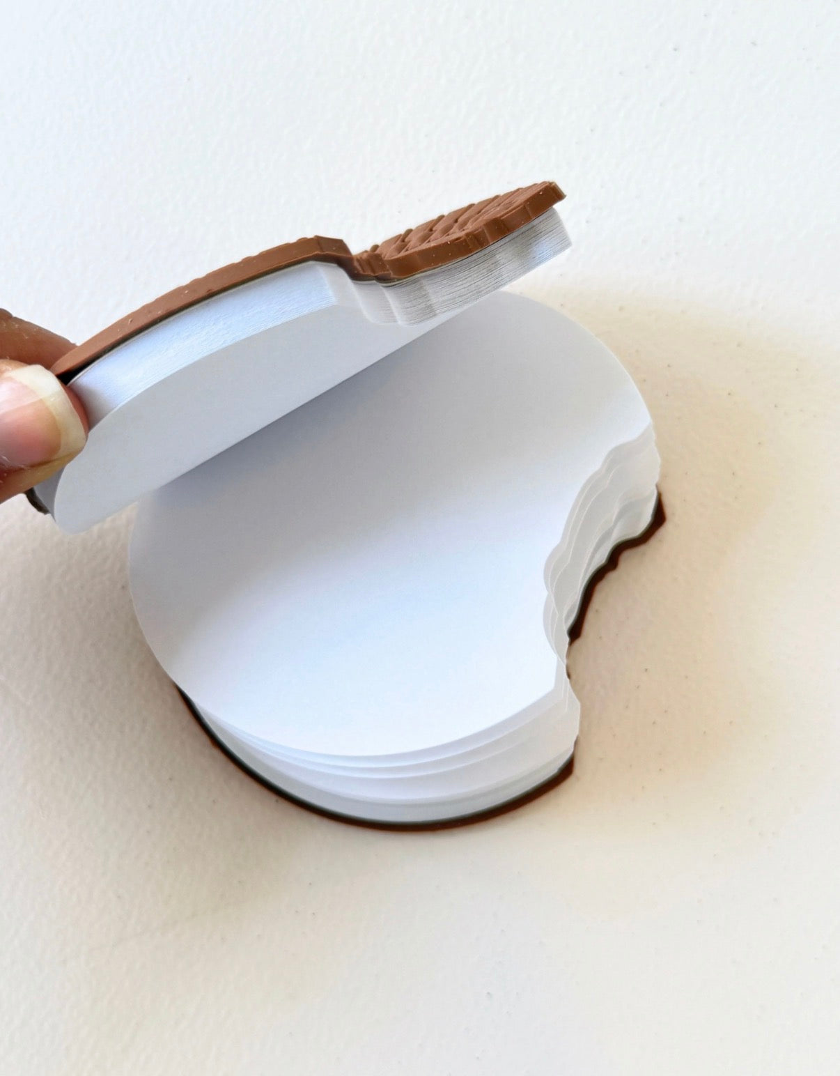 Biscuit and Chocolate Diary