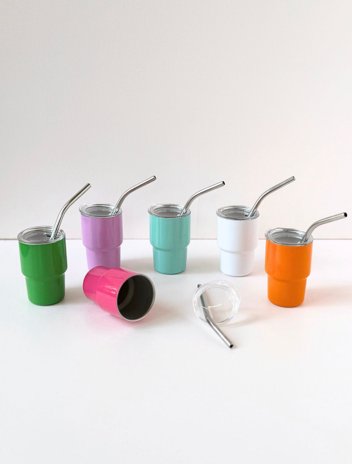 Mini Stainless Steel Tumbler